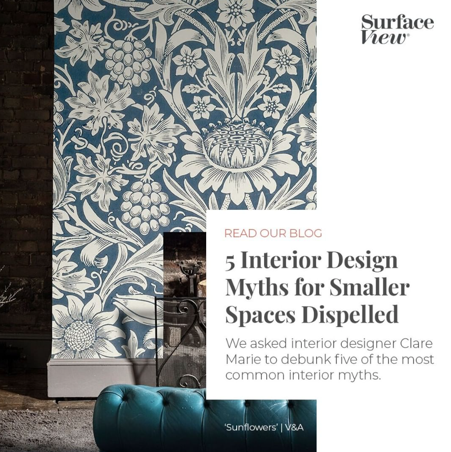 Feature Article: Surface View