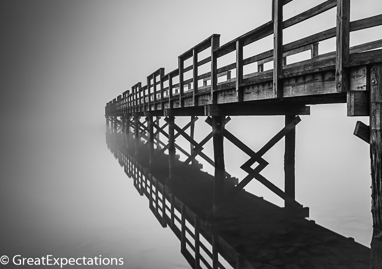 Foggy morning.jpg