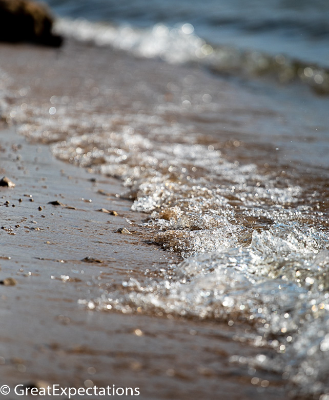 the shoreline.jpg