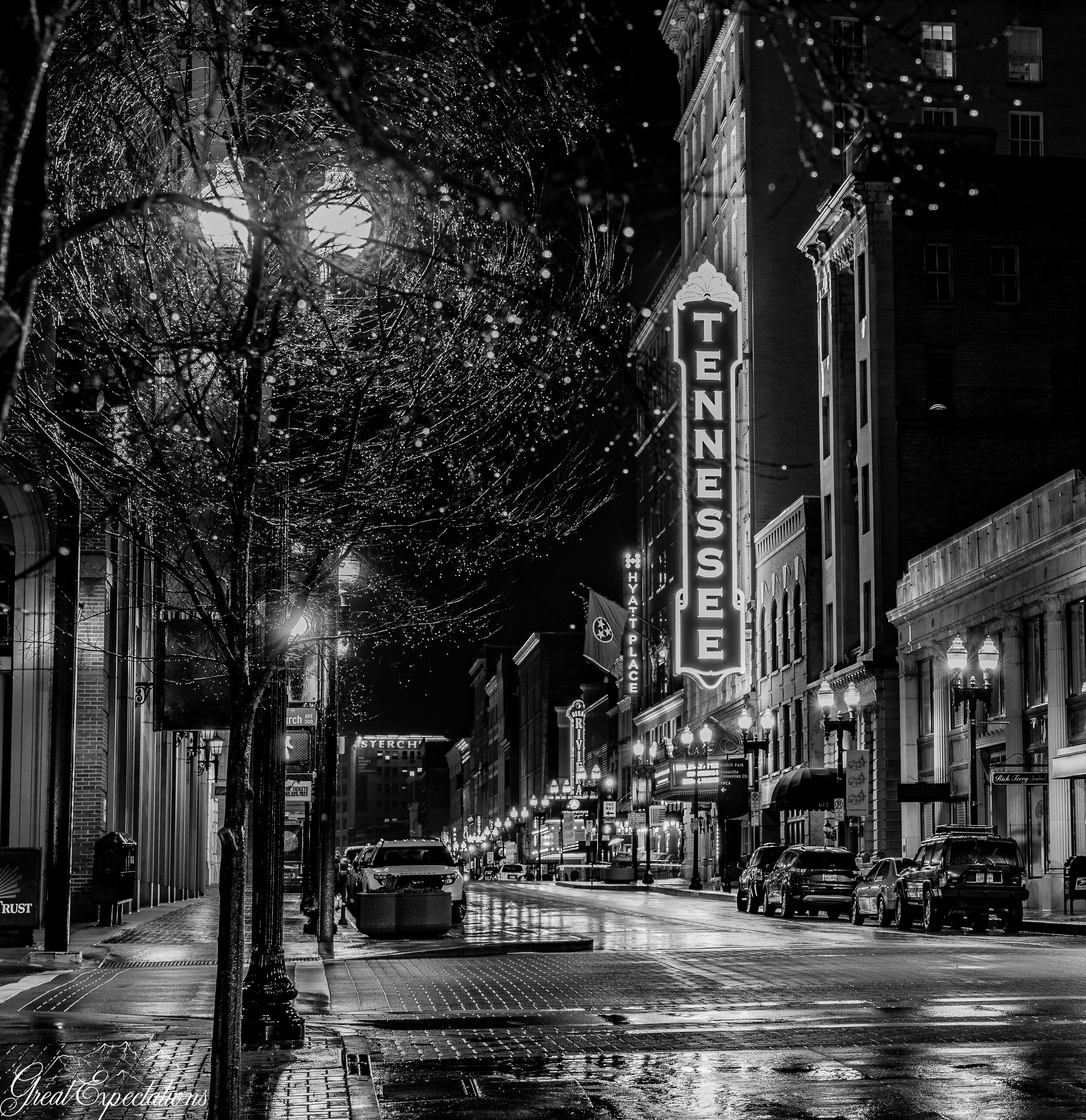Tennessee and the Tree