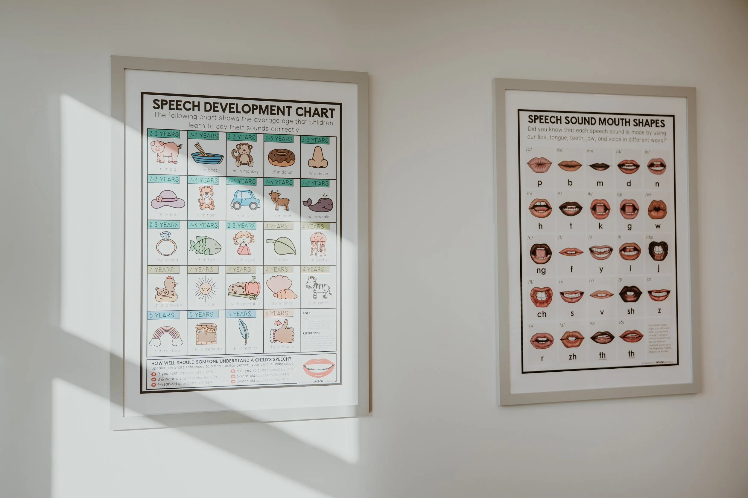 Speech Sounds Posters.jpg