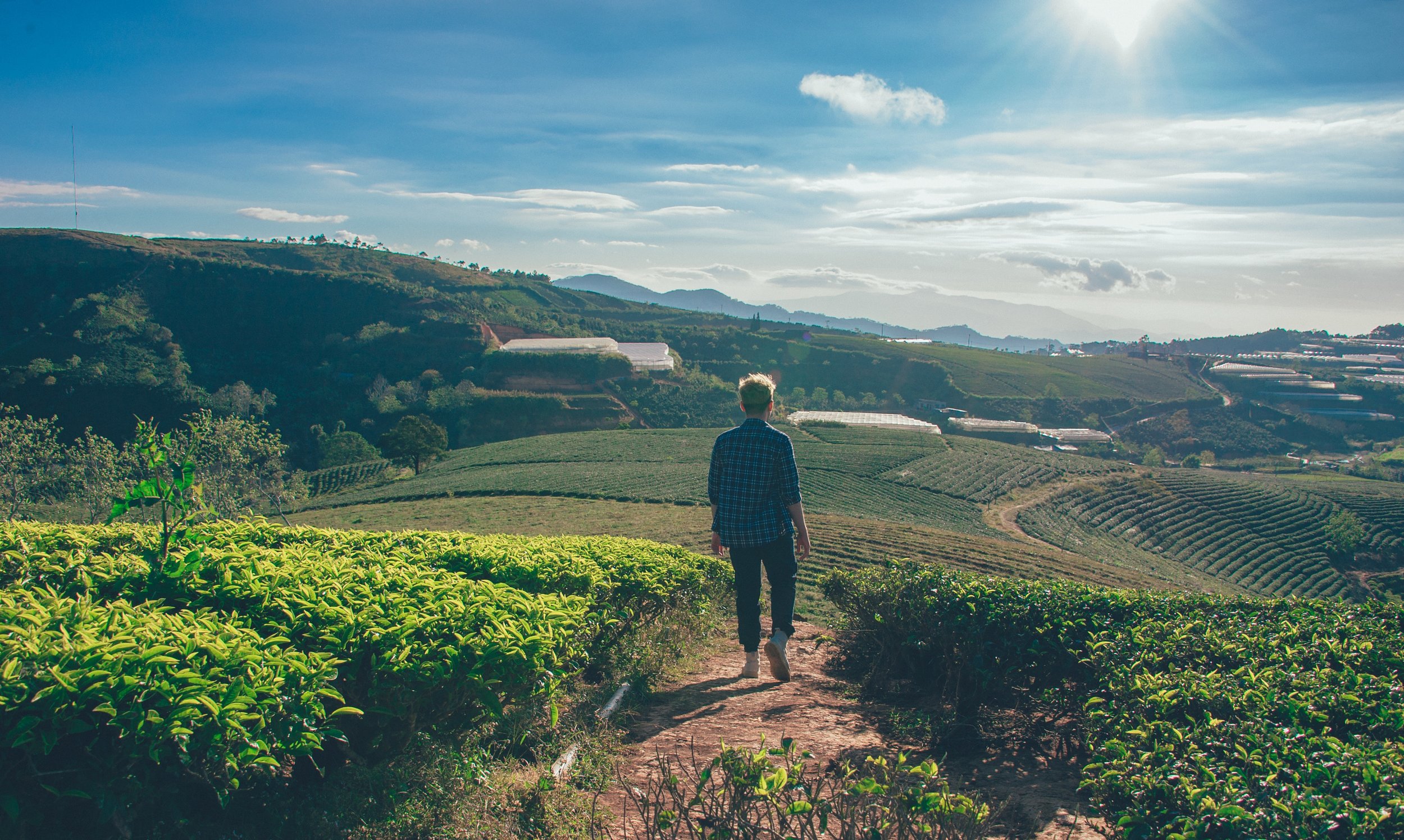 agriculture-countryside-cropland-911802.jpg