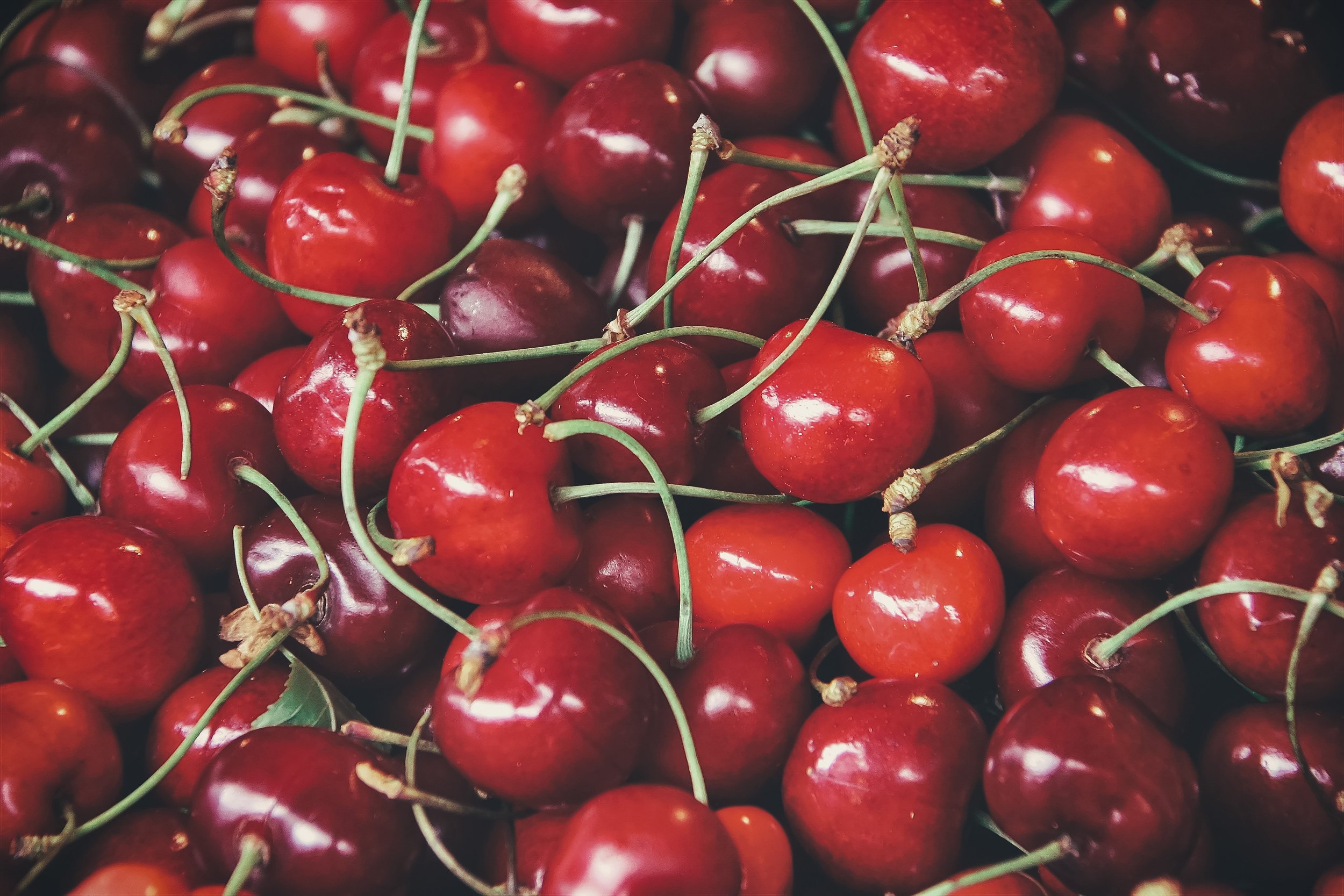 cherries-close-up-delicious-966416.jpg
