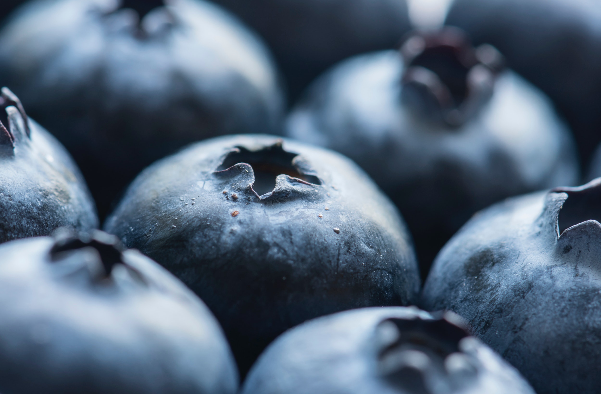 antioxidant-berries-bilberry-988870.jpg