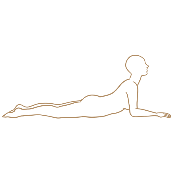 gently arch forward into sphinx