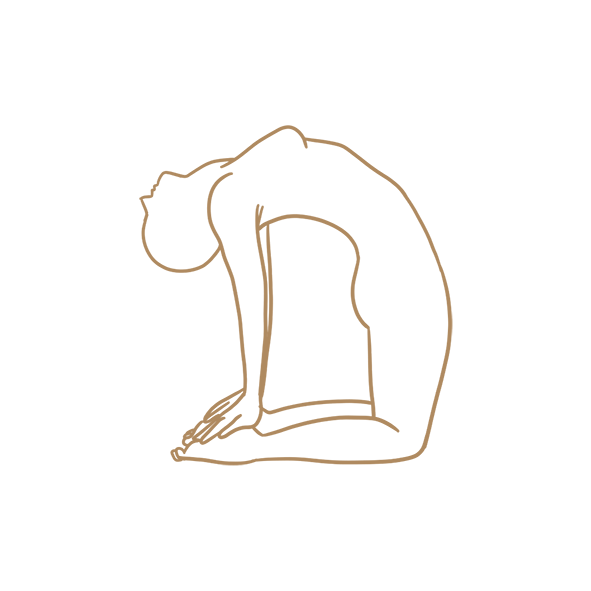 come into camel, push hips forward…