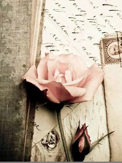 rosewriting.jpeg