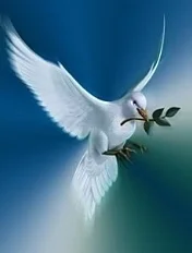 dove peace and light painted.jpg