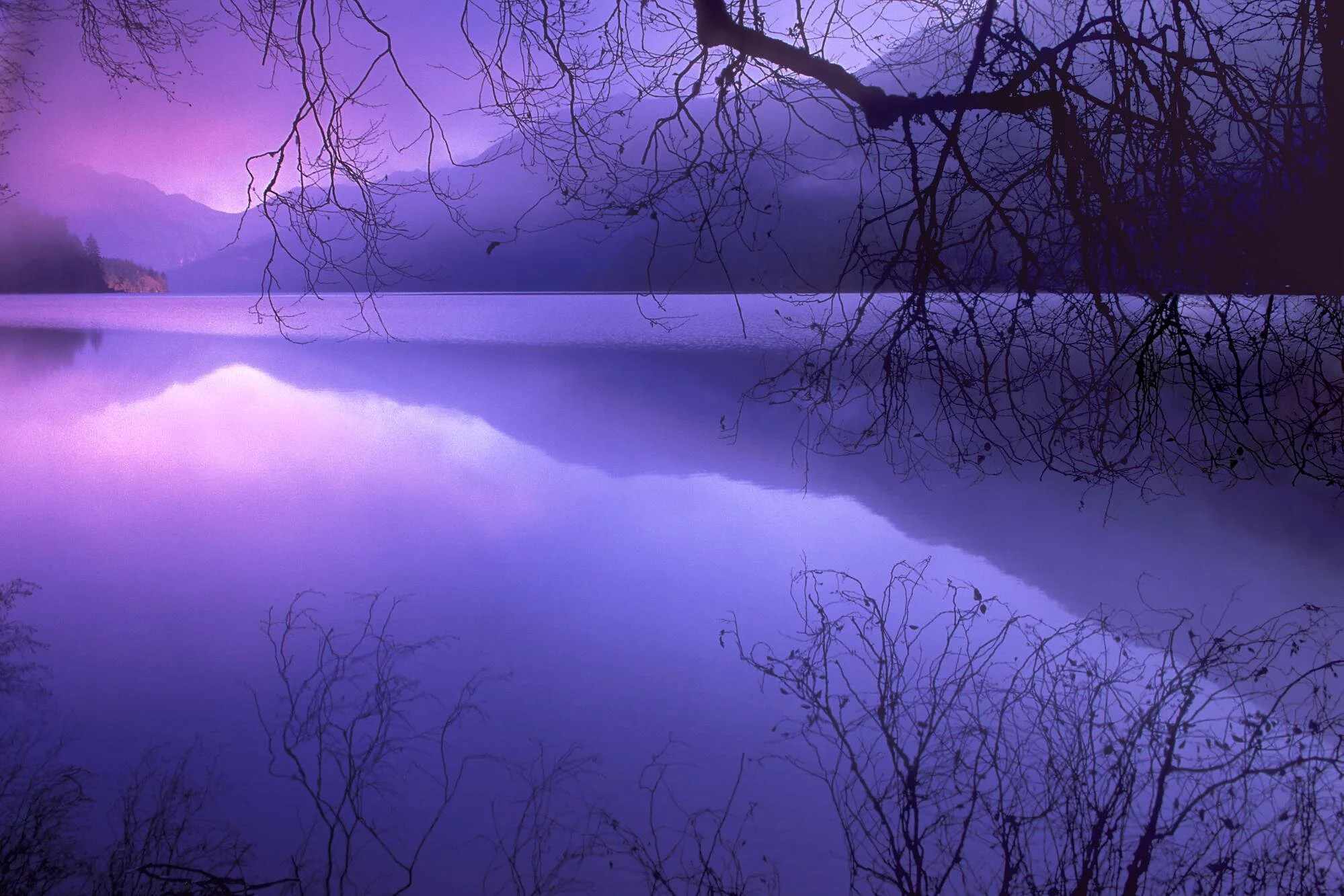 Guided Meditation