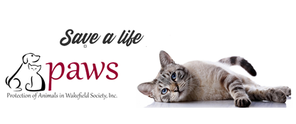 Virtual MEDIUMSHIP ...   FUNDRAI$ER for PAWS   