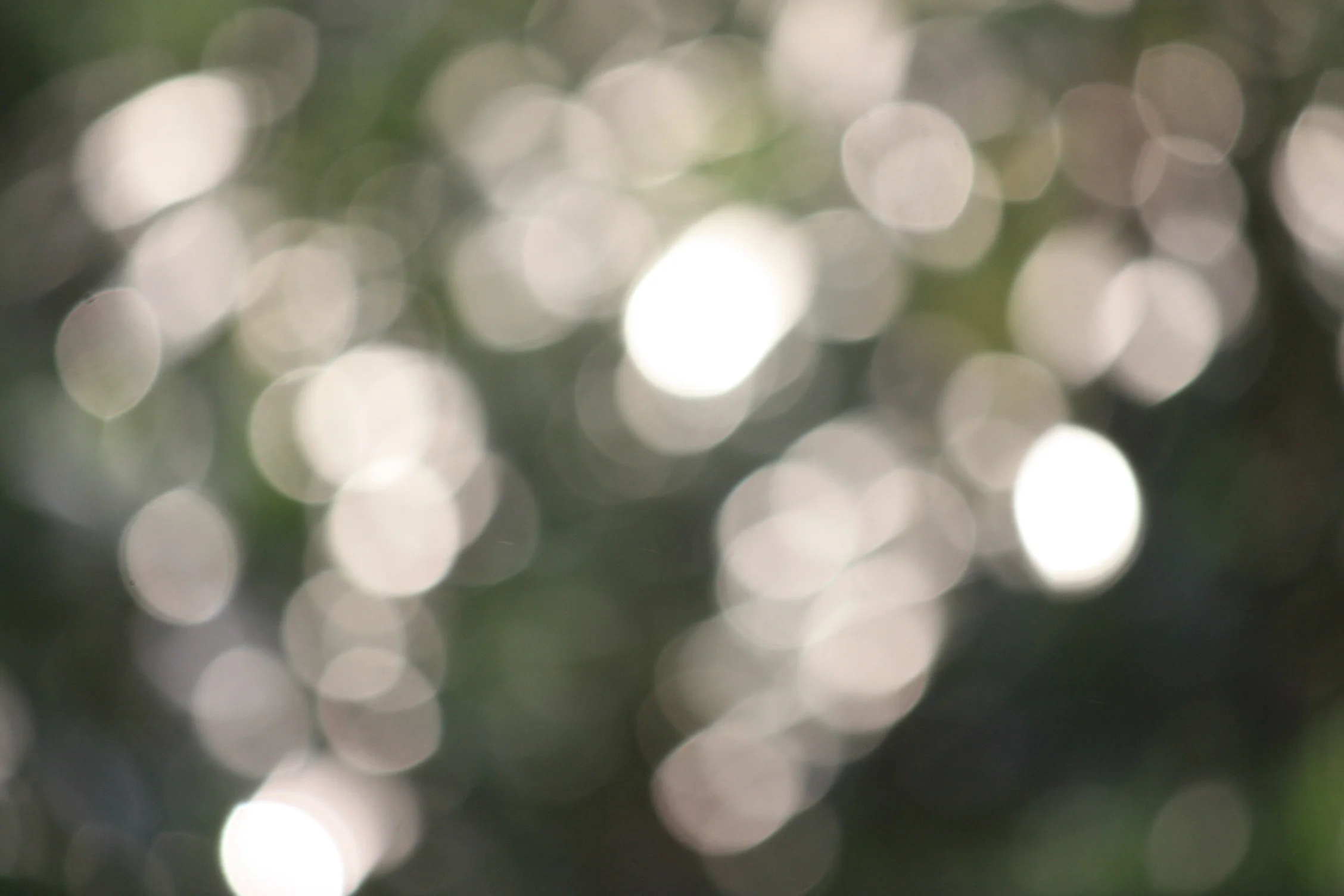 clear lights.JPG