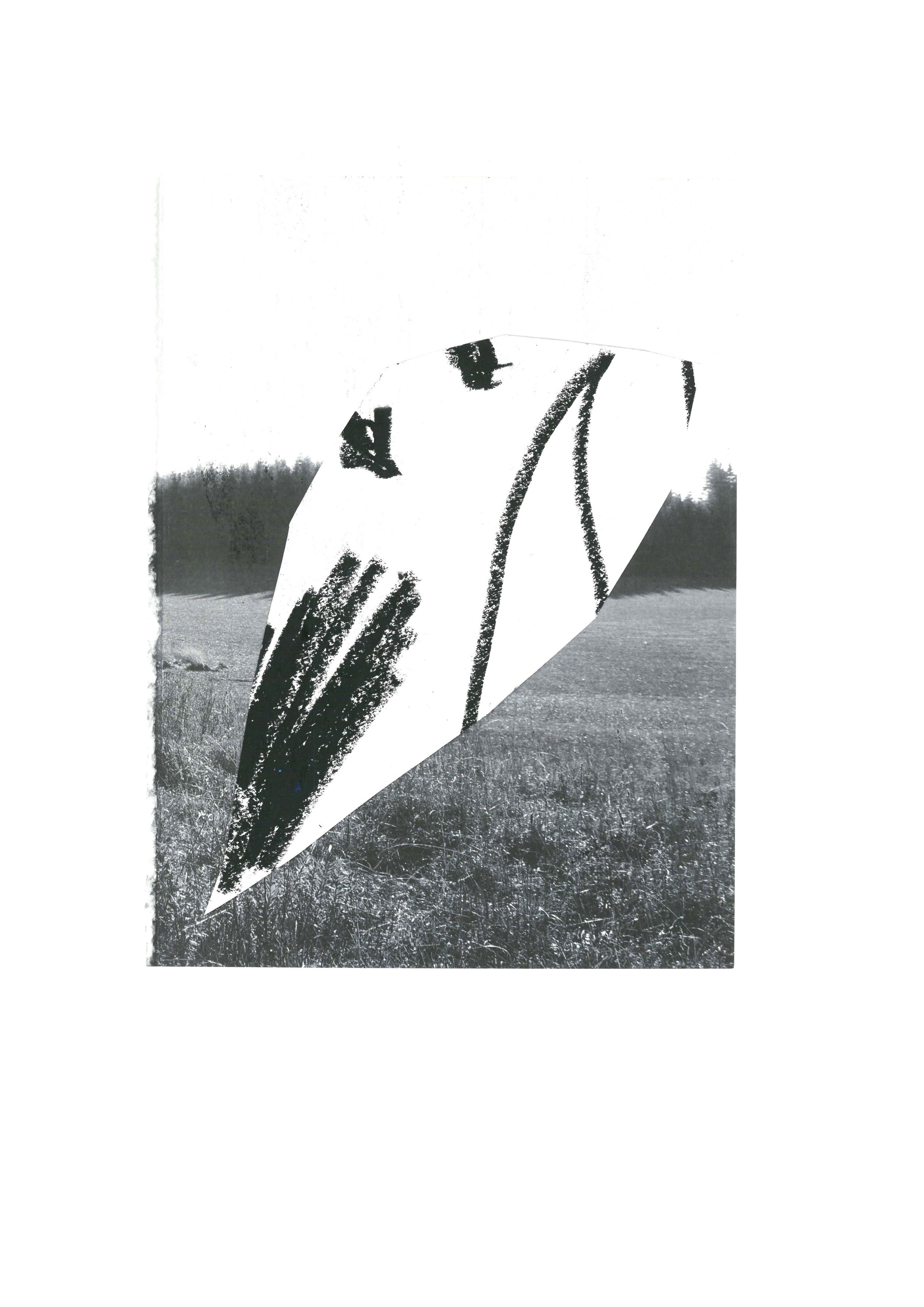  Series of collages made together with Catrin Karlberg 