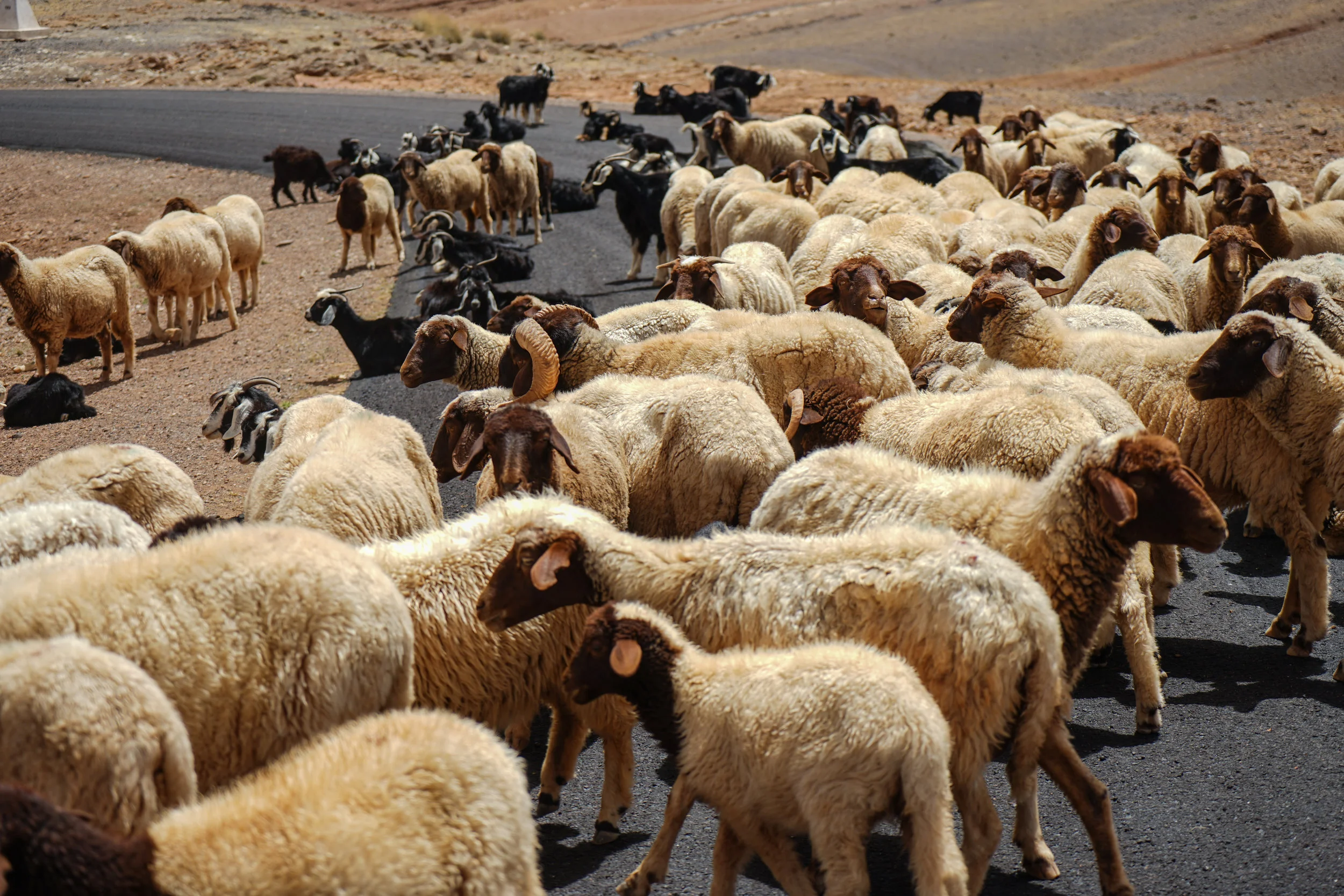 Traffic Jam, Morocco