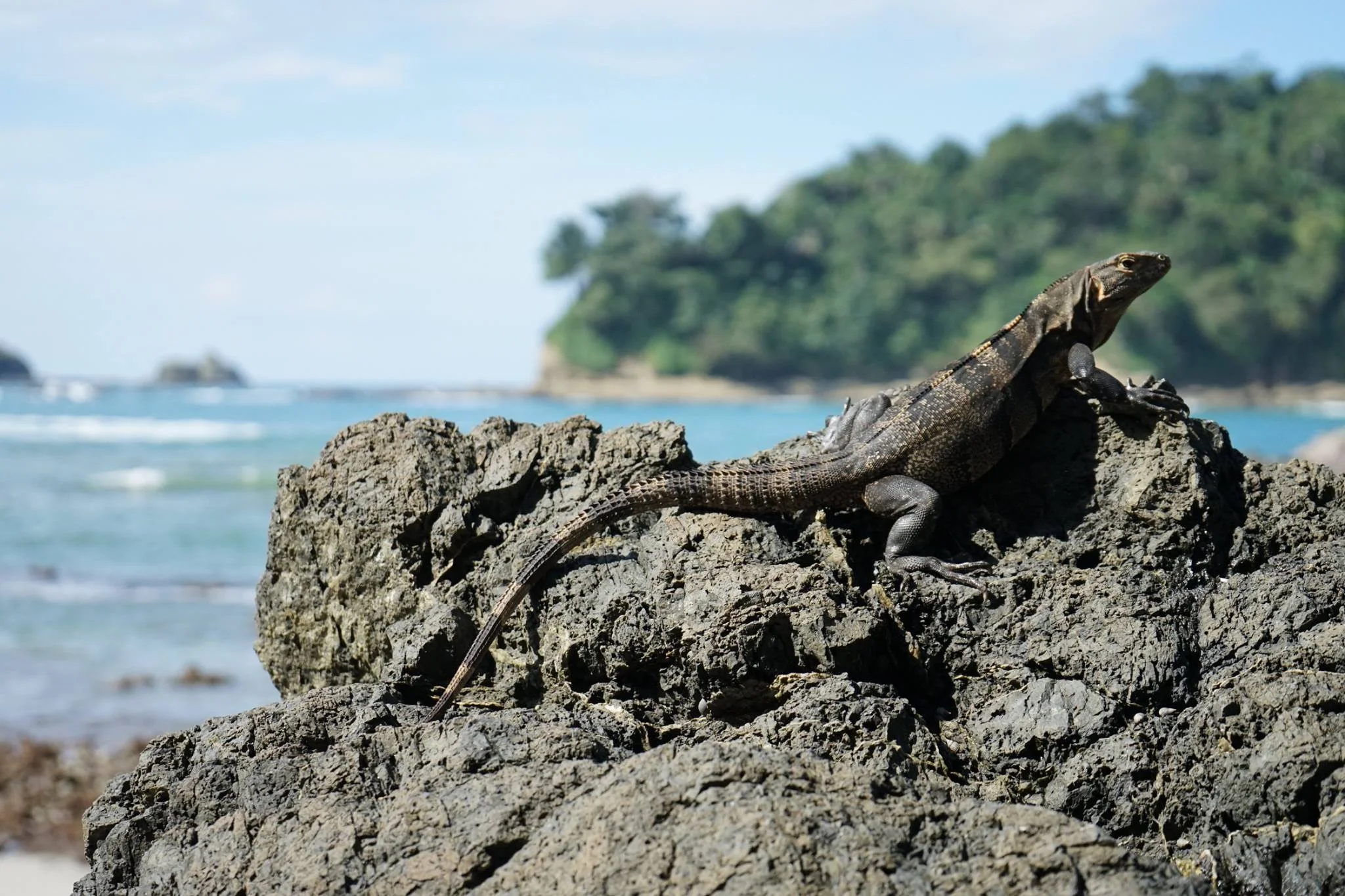 Manuel Antonio Park, Costa Rica