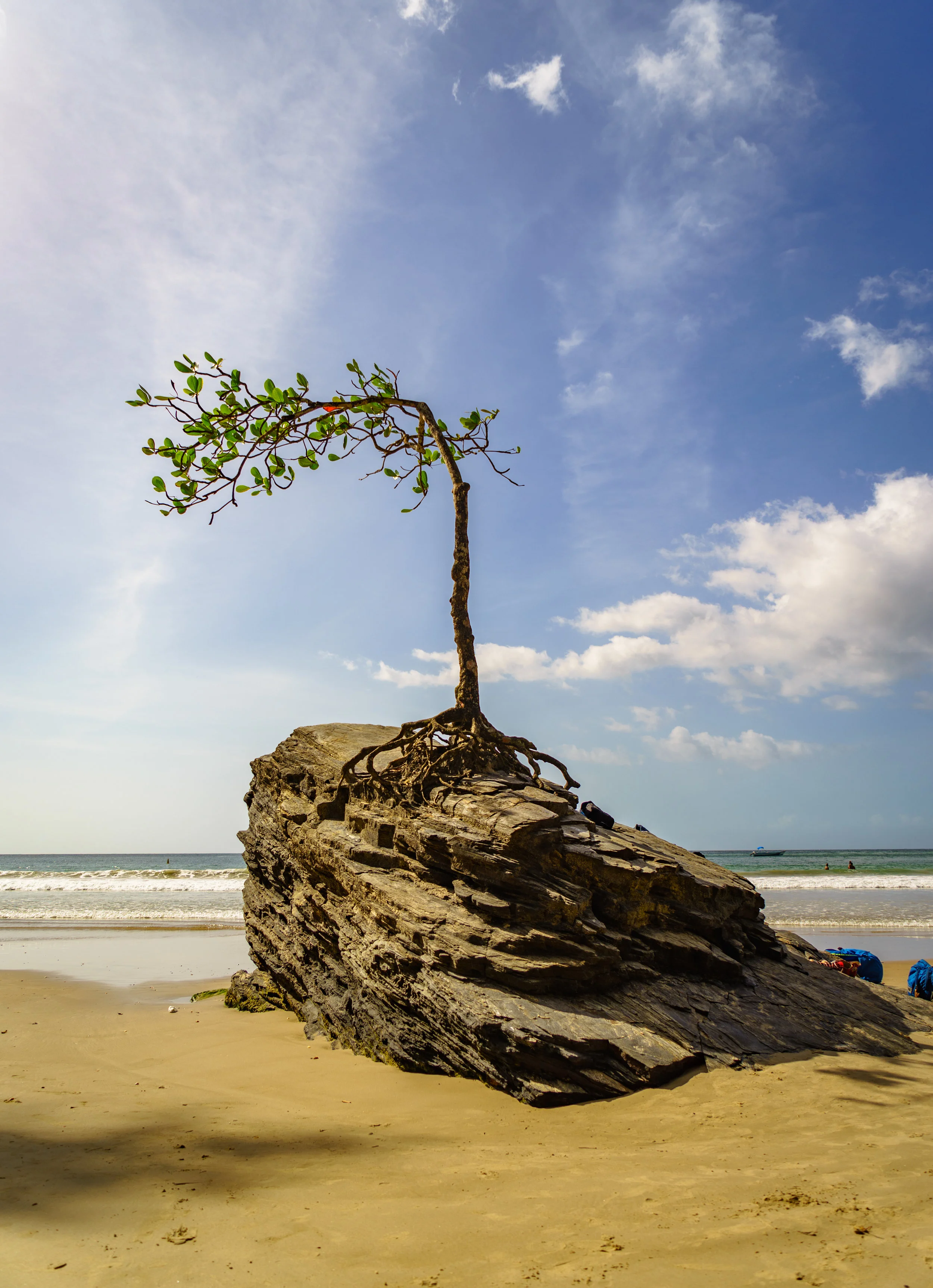 Perseverance, Las Cuevas Beach, Trinidad