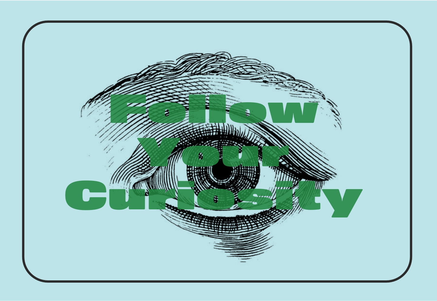 Follow Your Curiosity.jpg