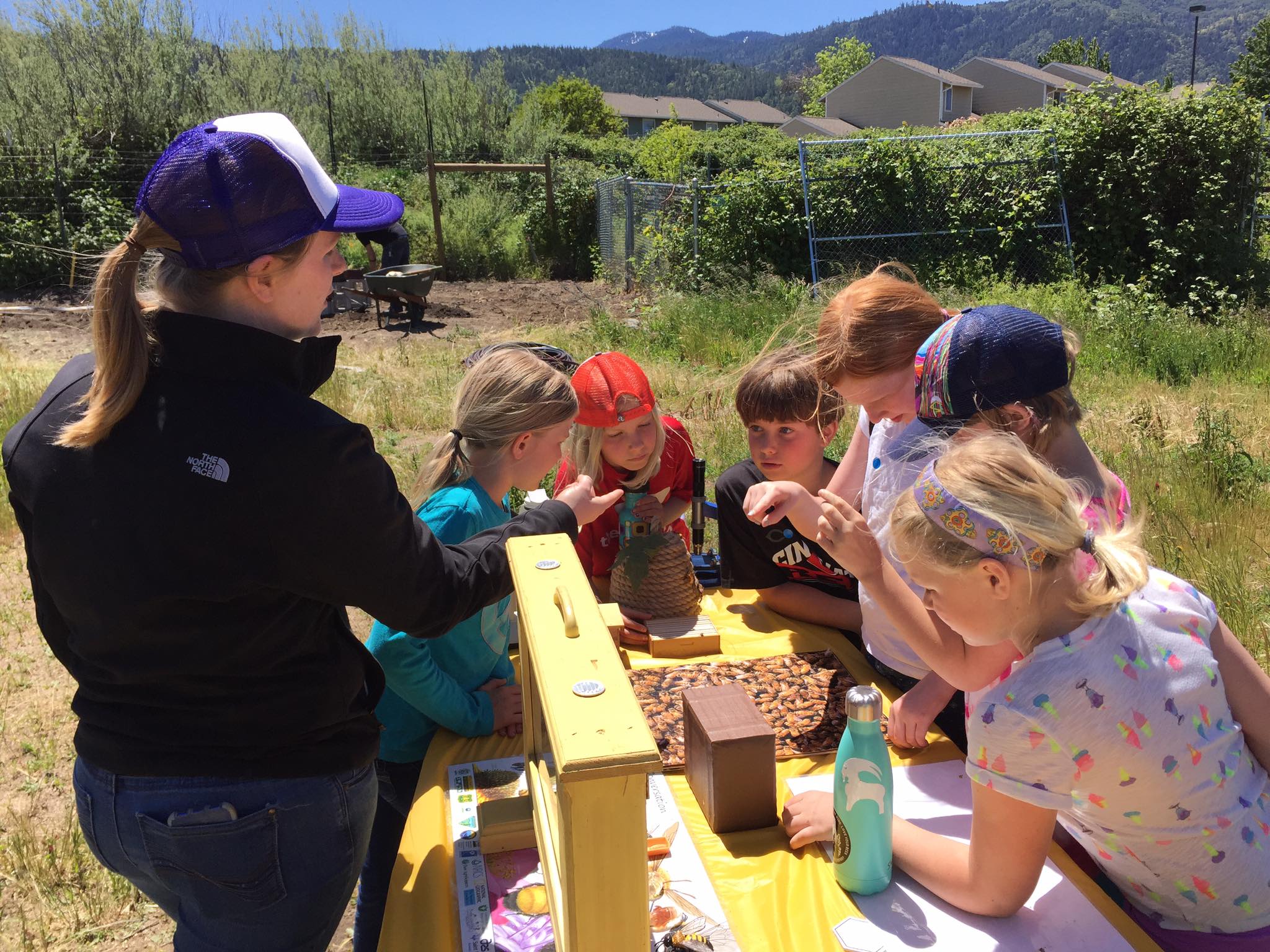 A Simple 8 Step Kids and Bees Program
