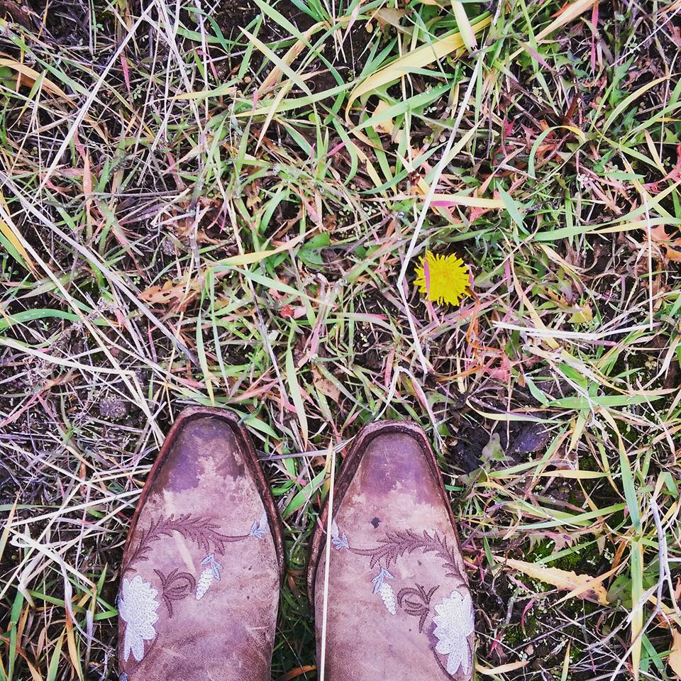 Poop and Flower Petals on my Boots