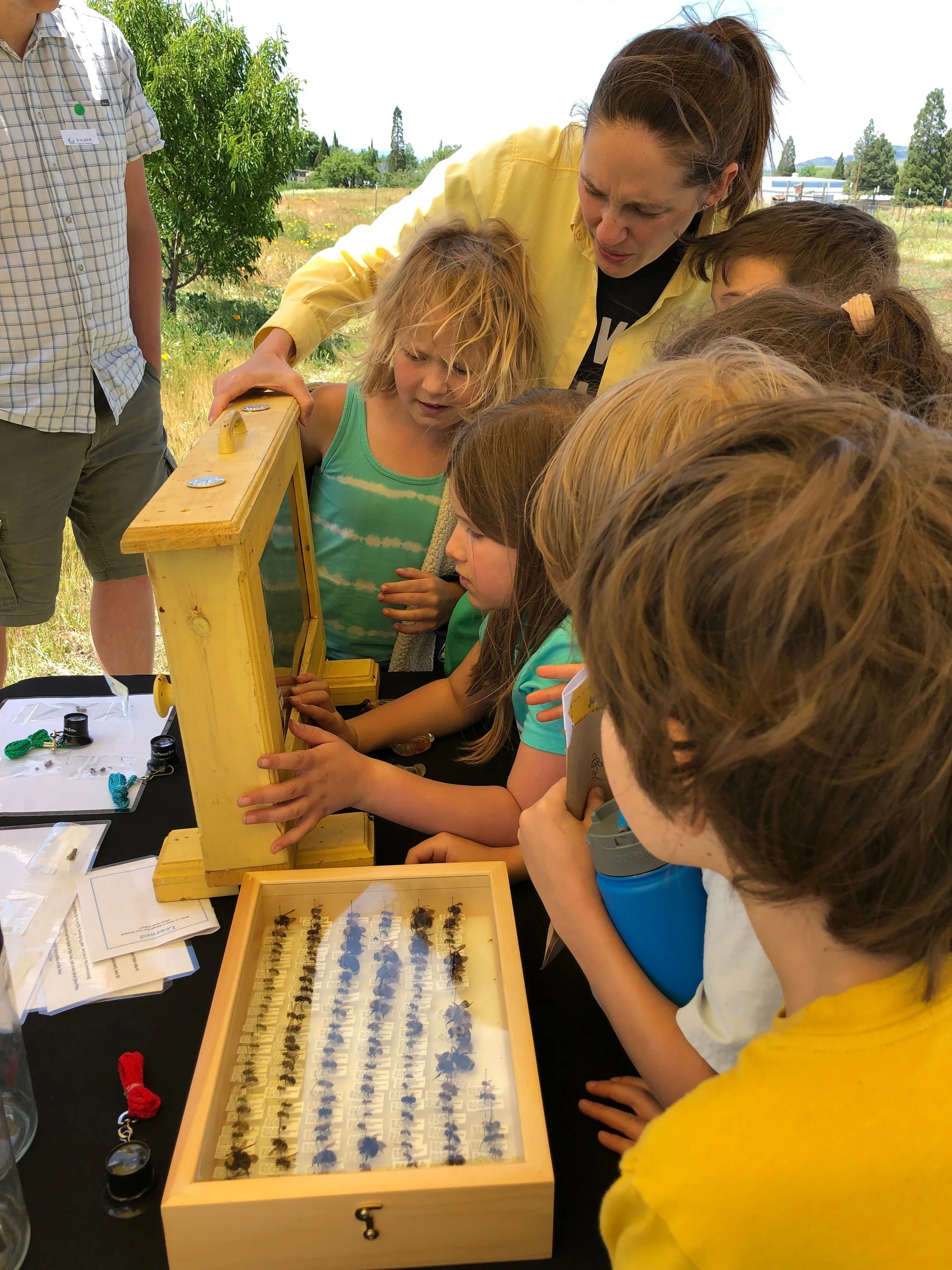  Kids and Bees "Bee and Beekeeping" Station 