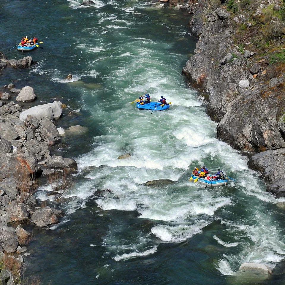 Talk Bees on the Crest of a Rapid 