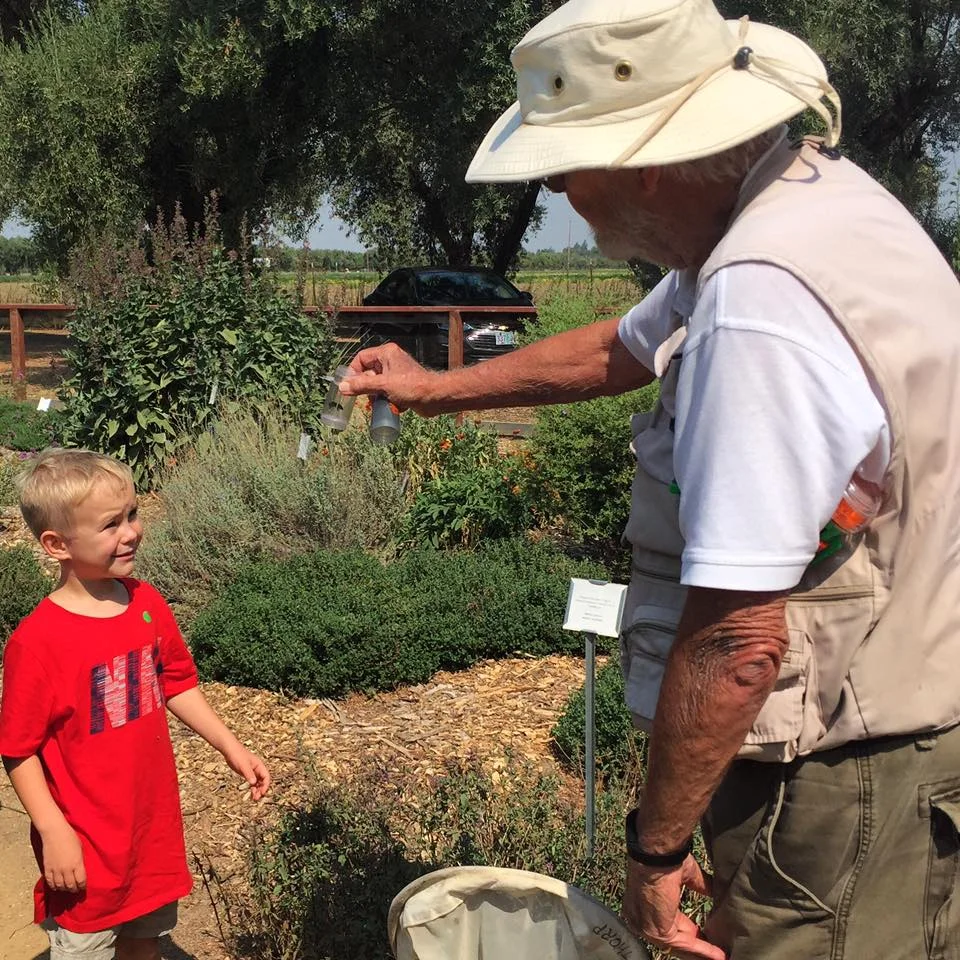 Remembering “The Old Man and The Bee” 