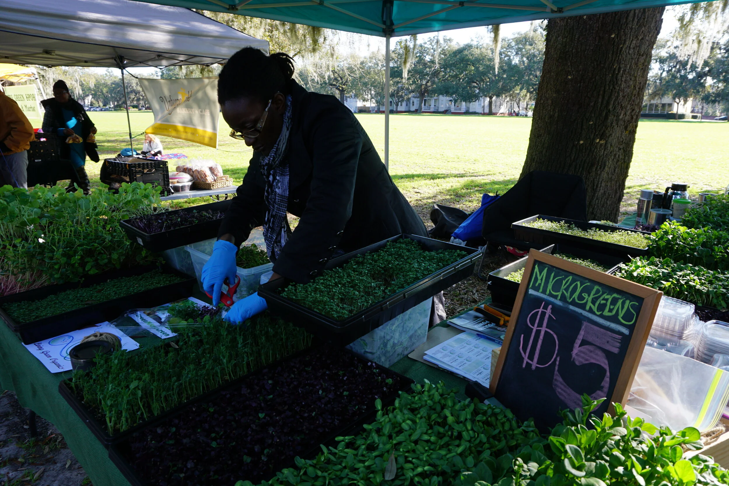 What's the Use of a Movement, Without Personal Action? 