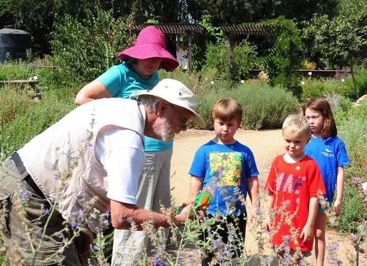 Kids Community Bee Science Projects 