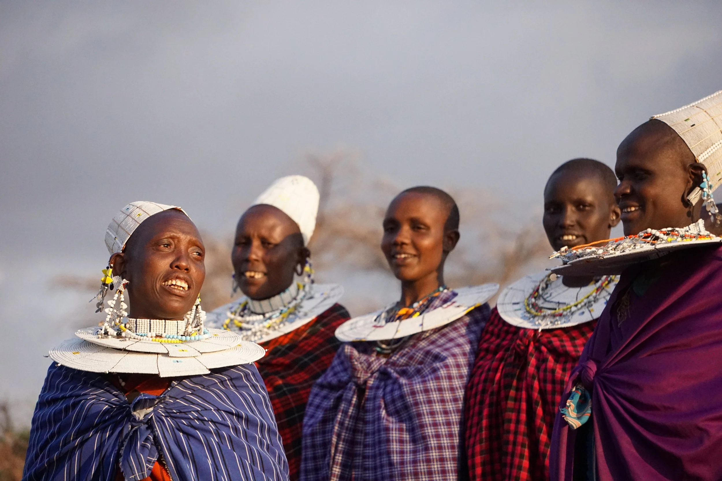 Maasai: a Beekeeping, Cattle Herding People 