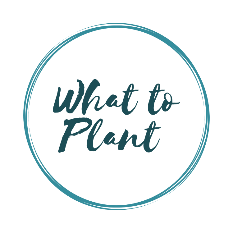 What to Plant