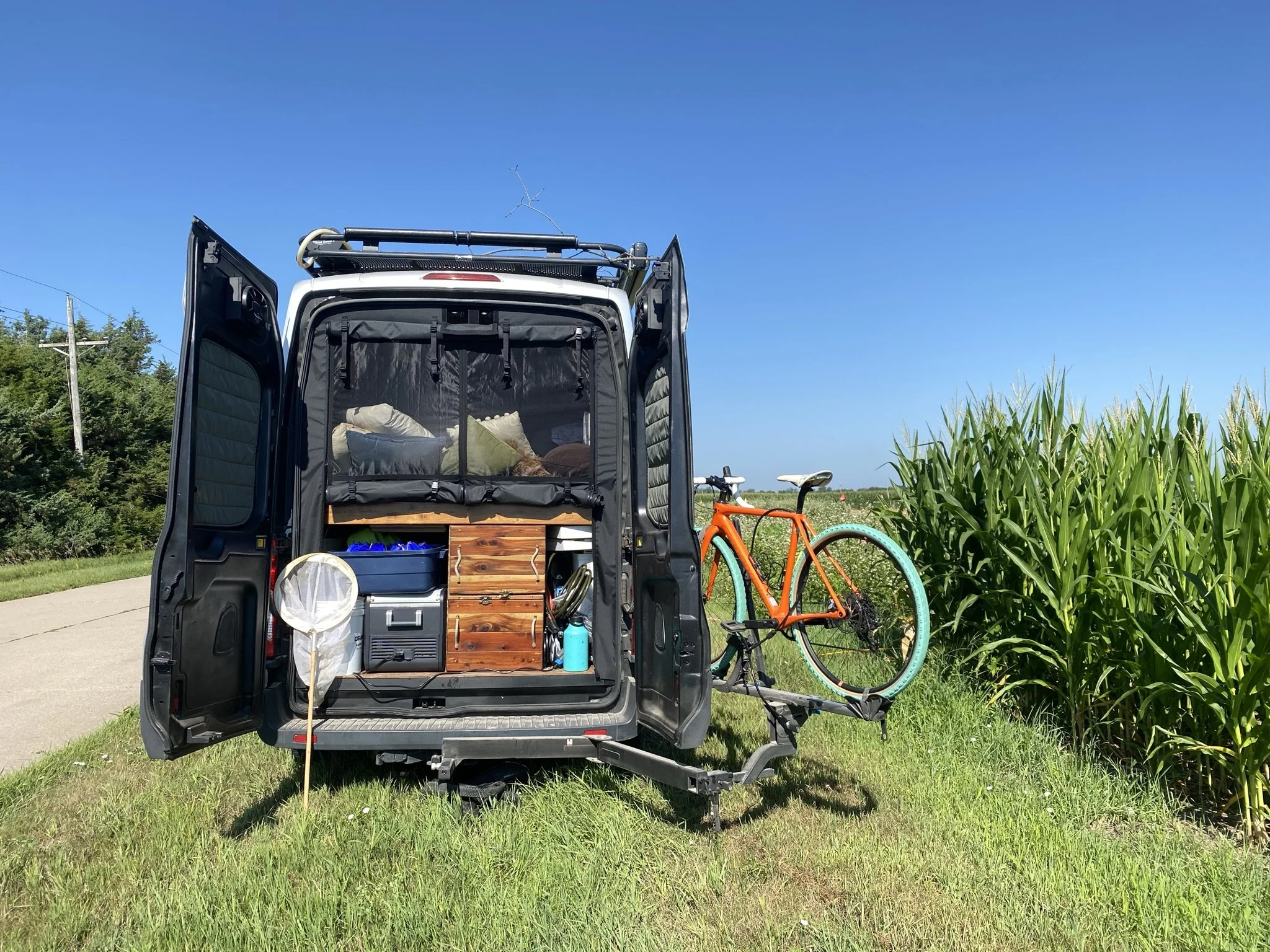 Big Thoughts on Corn and Bees