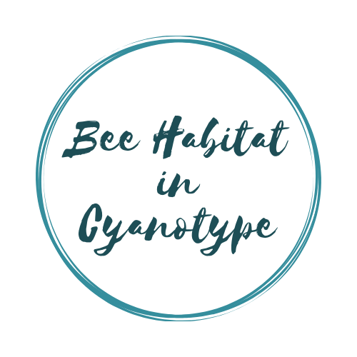 Bee Habitat in Cyanotype