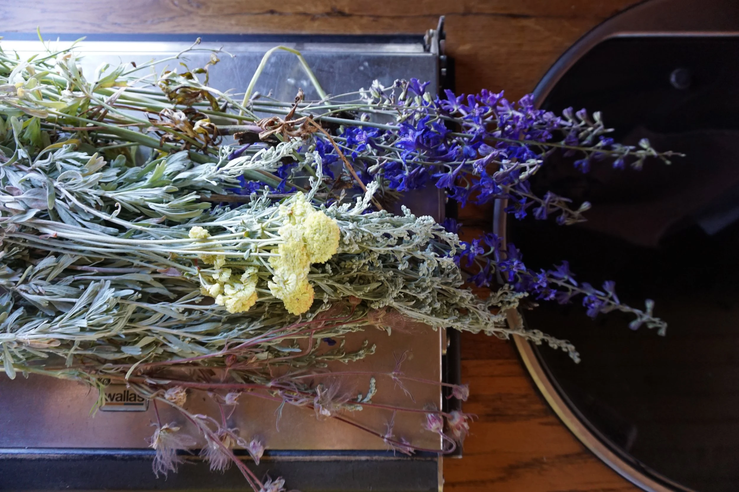 Flower Collection from J Bar L