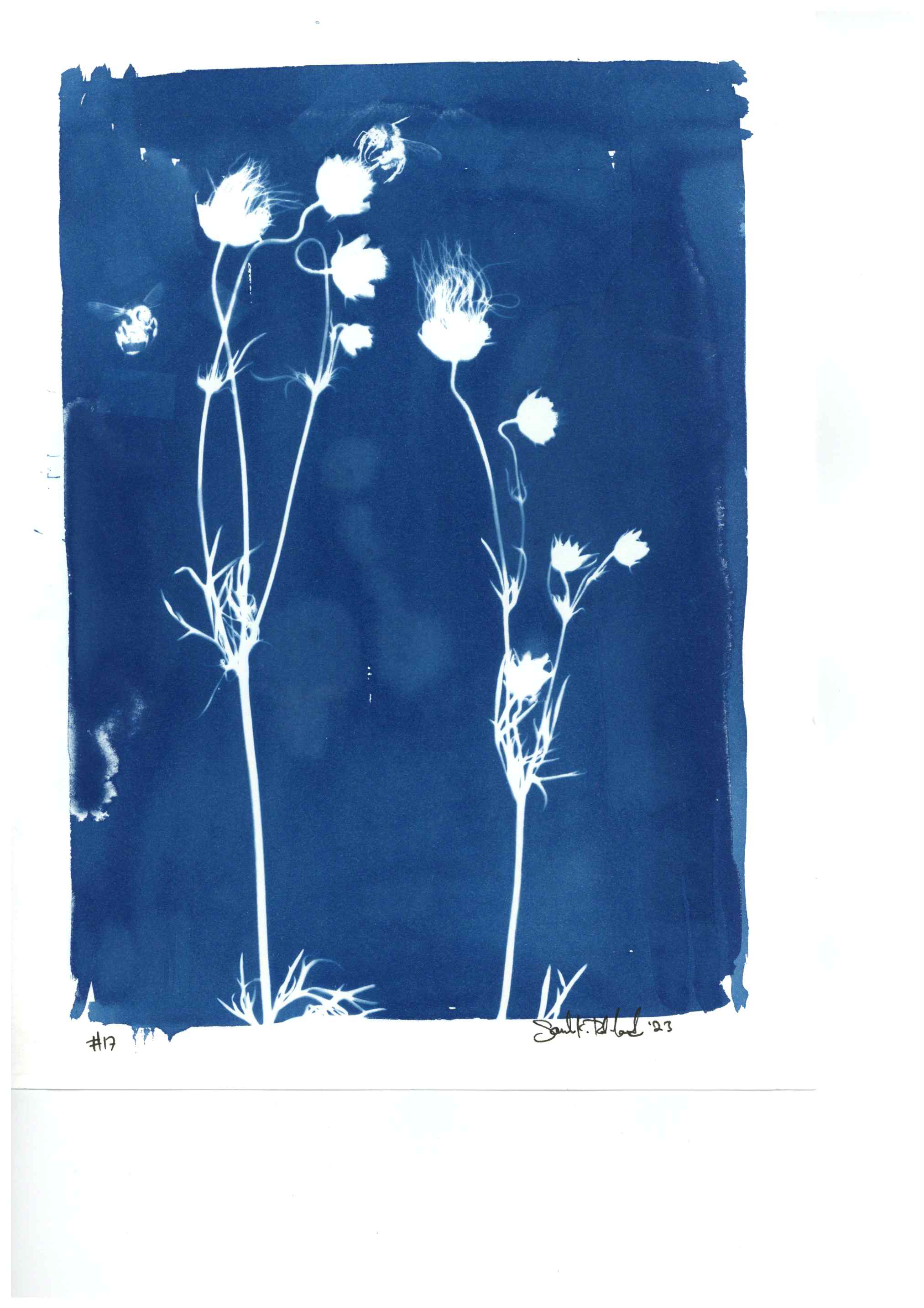 IMG_6687.PNG