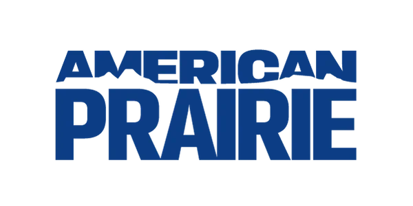AP_Logo_PMS_2945.png.webp