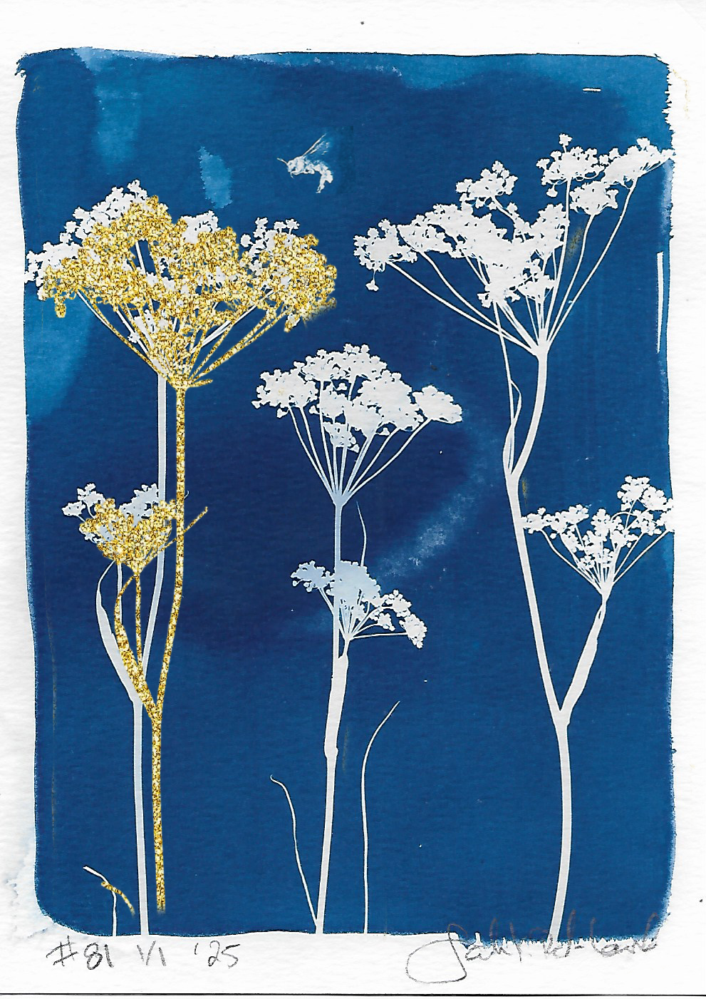 Cyanotype 81