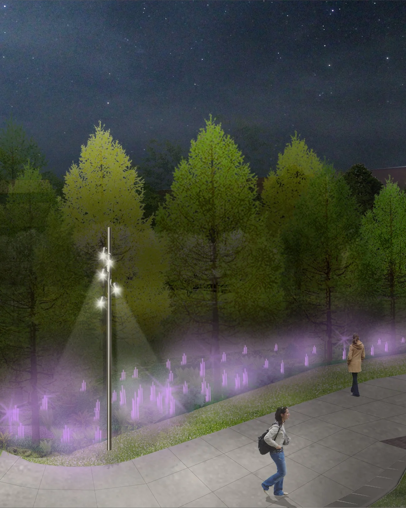 Infiltration+Garden_night_purple.jpg