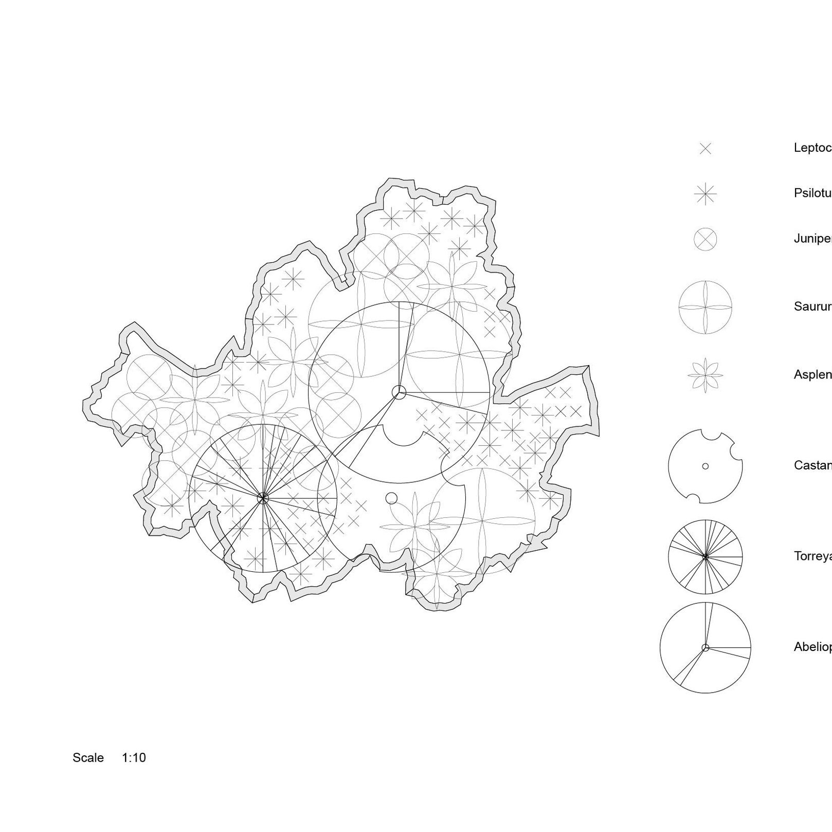 KBS1701_Planting Plan_20170811-01.jpg