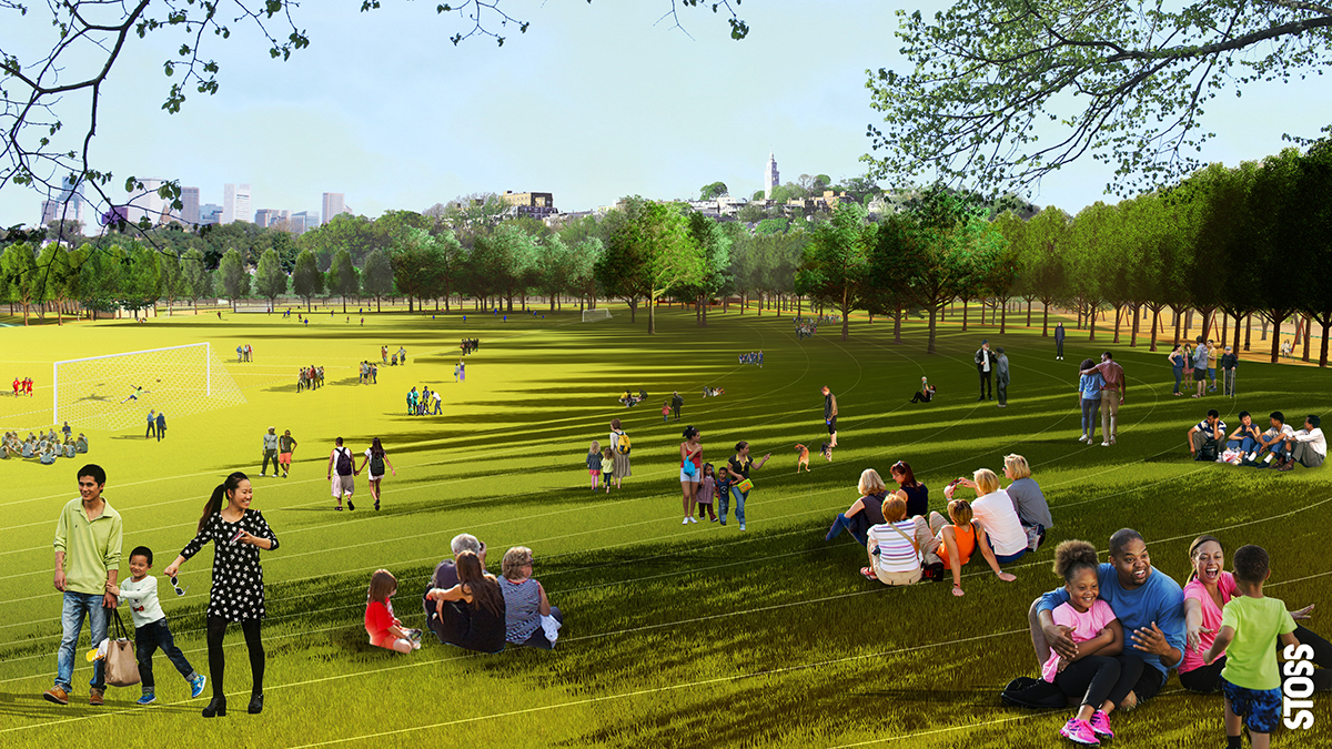 Sledding Hill in Summer