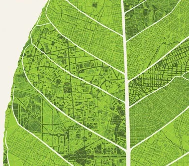Nature and Cities.jpg