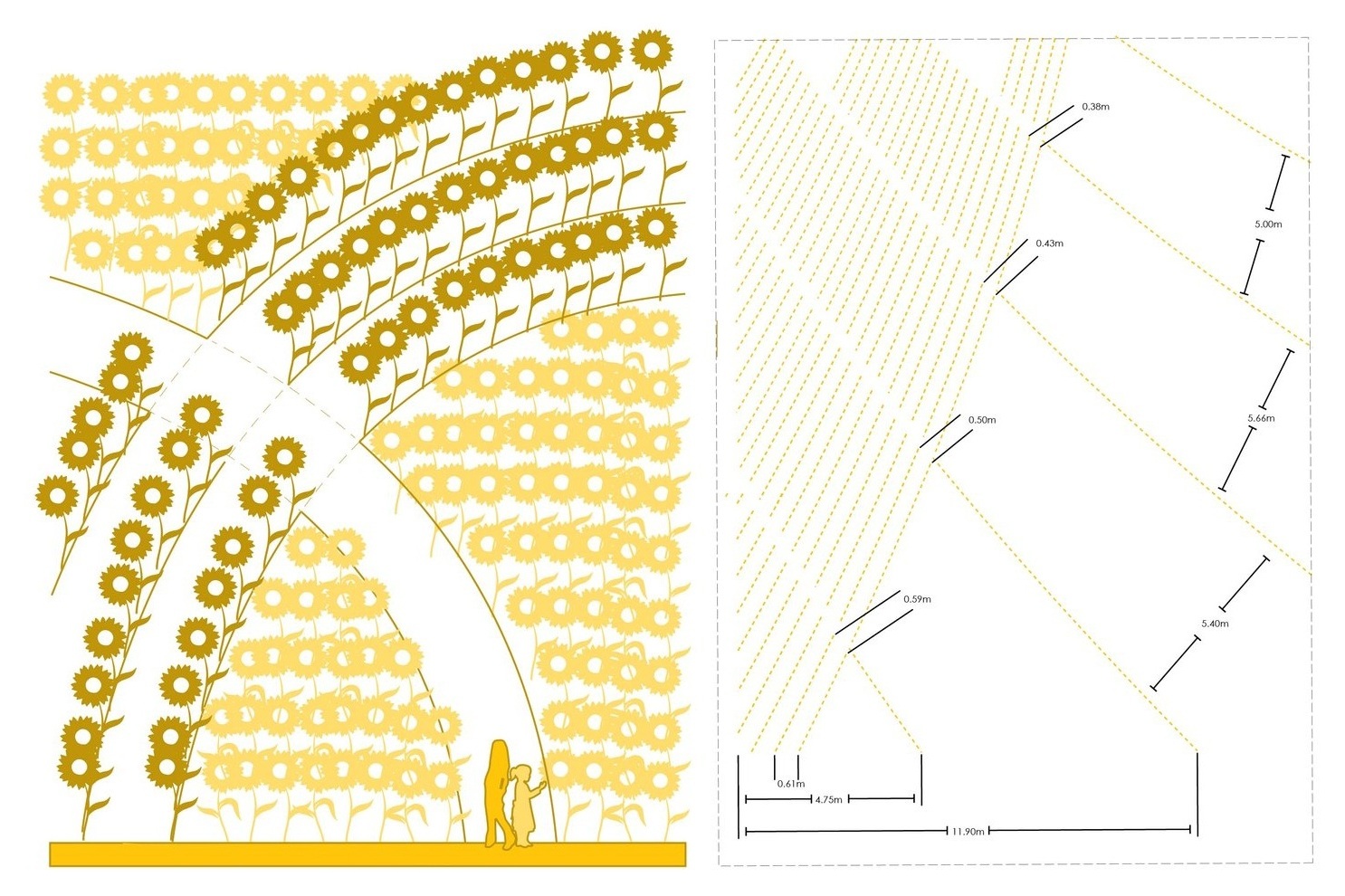 RMI1501_sunflower diagrams_20151119-02.jpg