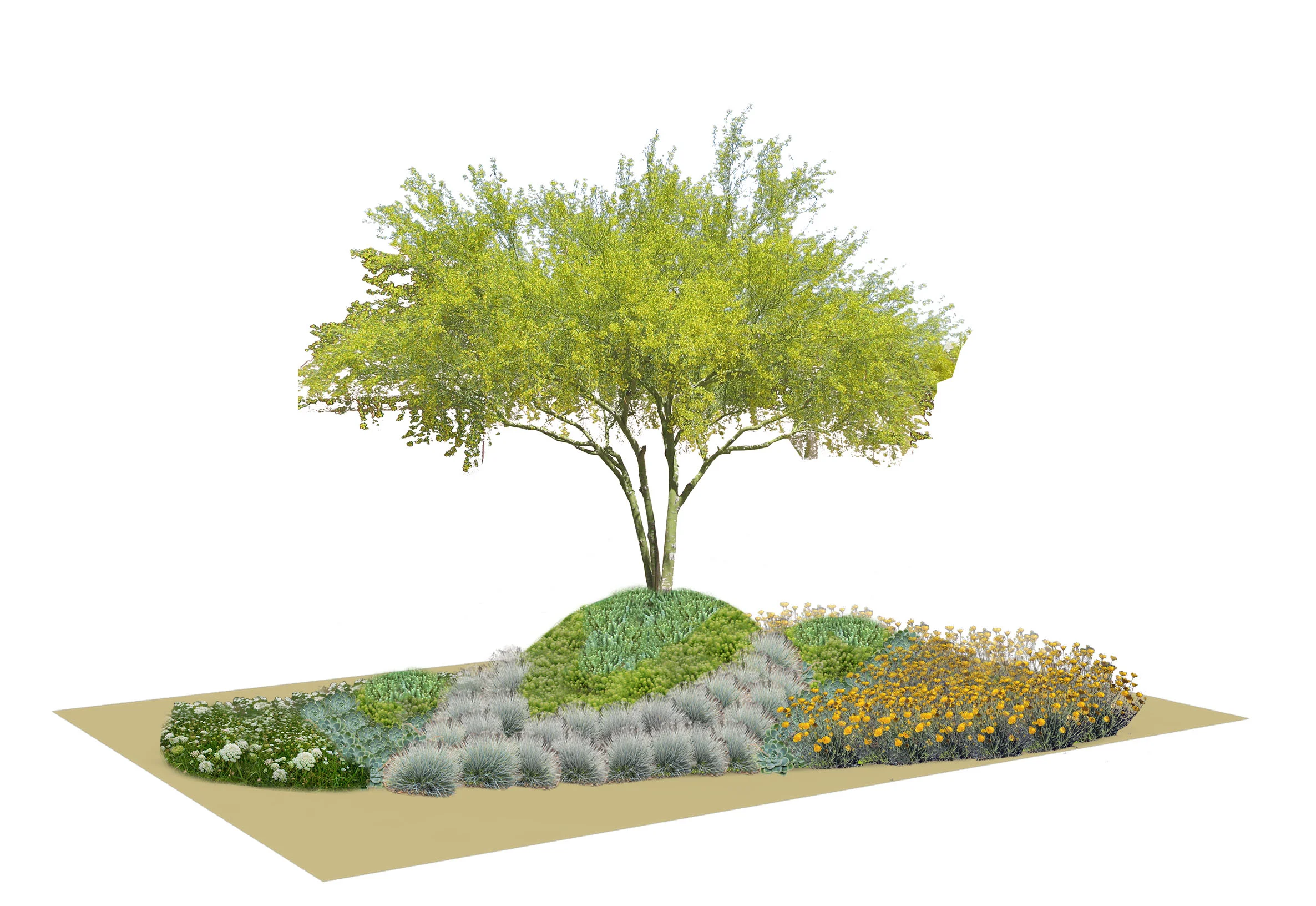 Dry 2 Planting Scheme.jpg