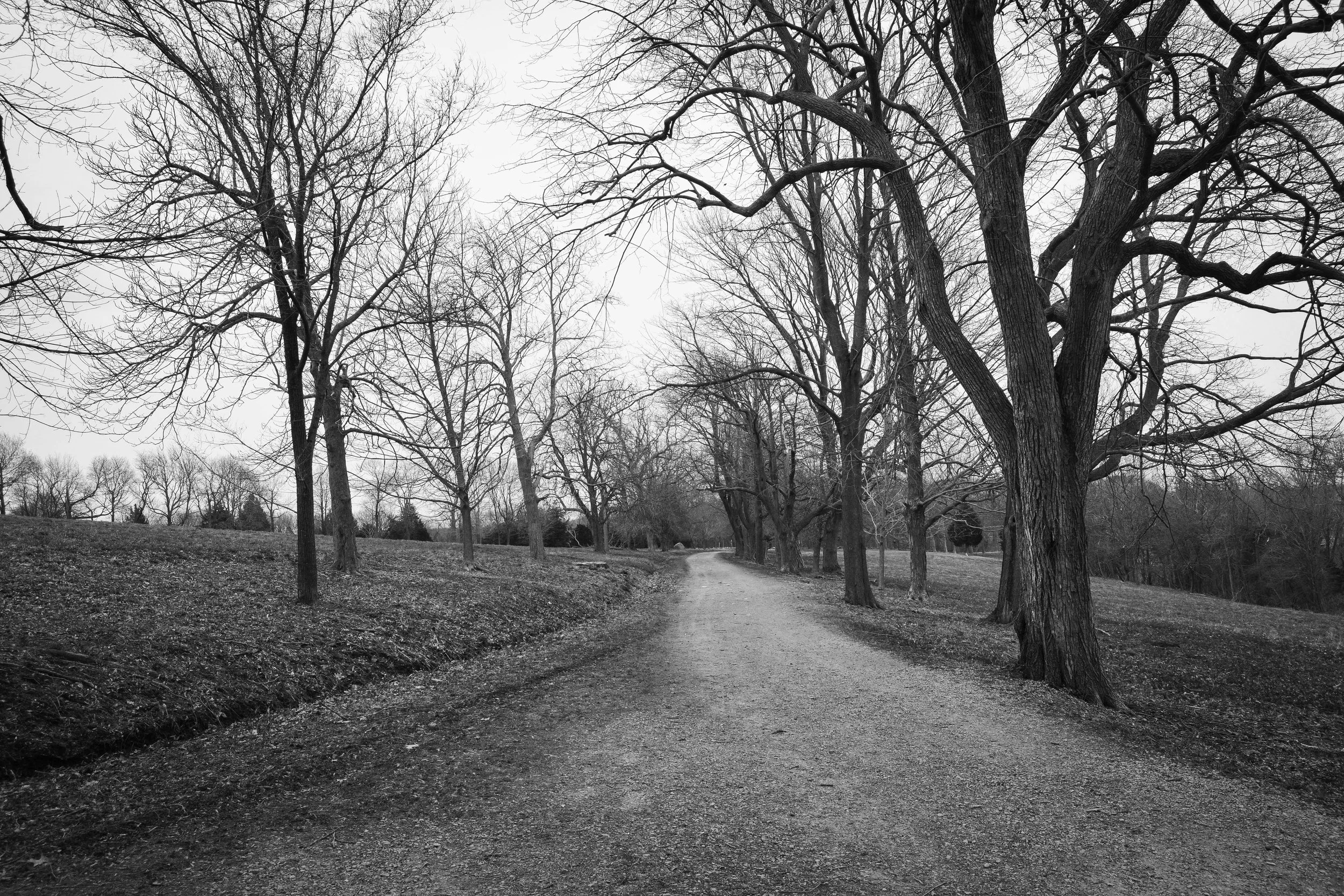 Baumgardner-30bw.jpg