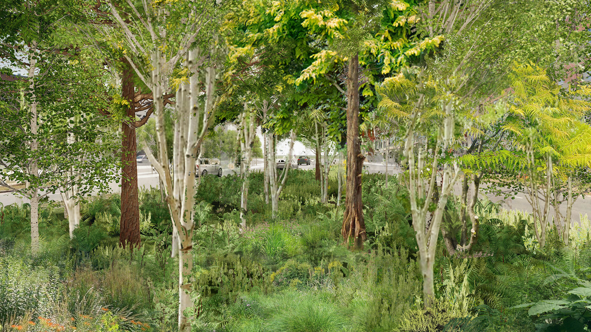 urban forestry