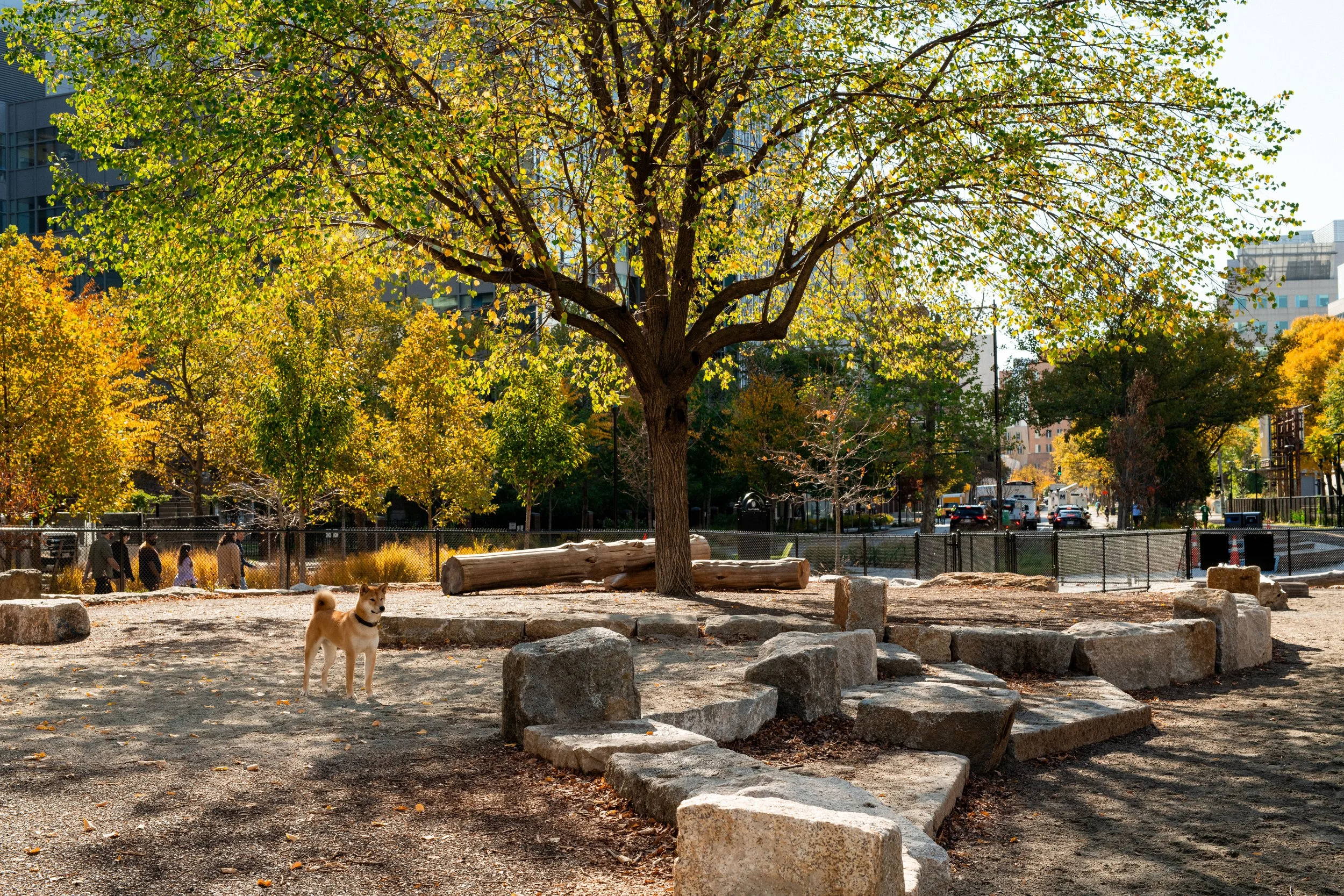 binney04_stoss_belleme_2024 resized.jpg