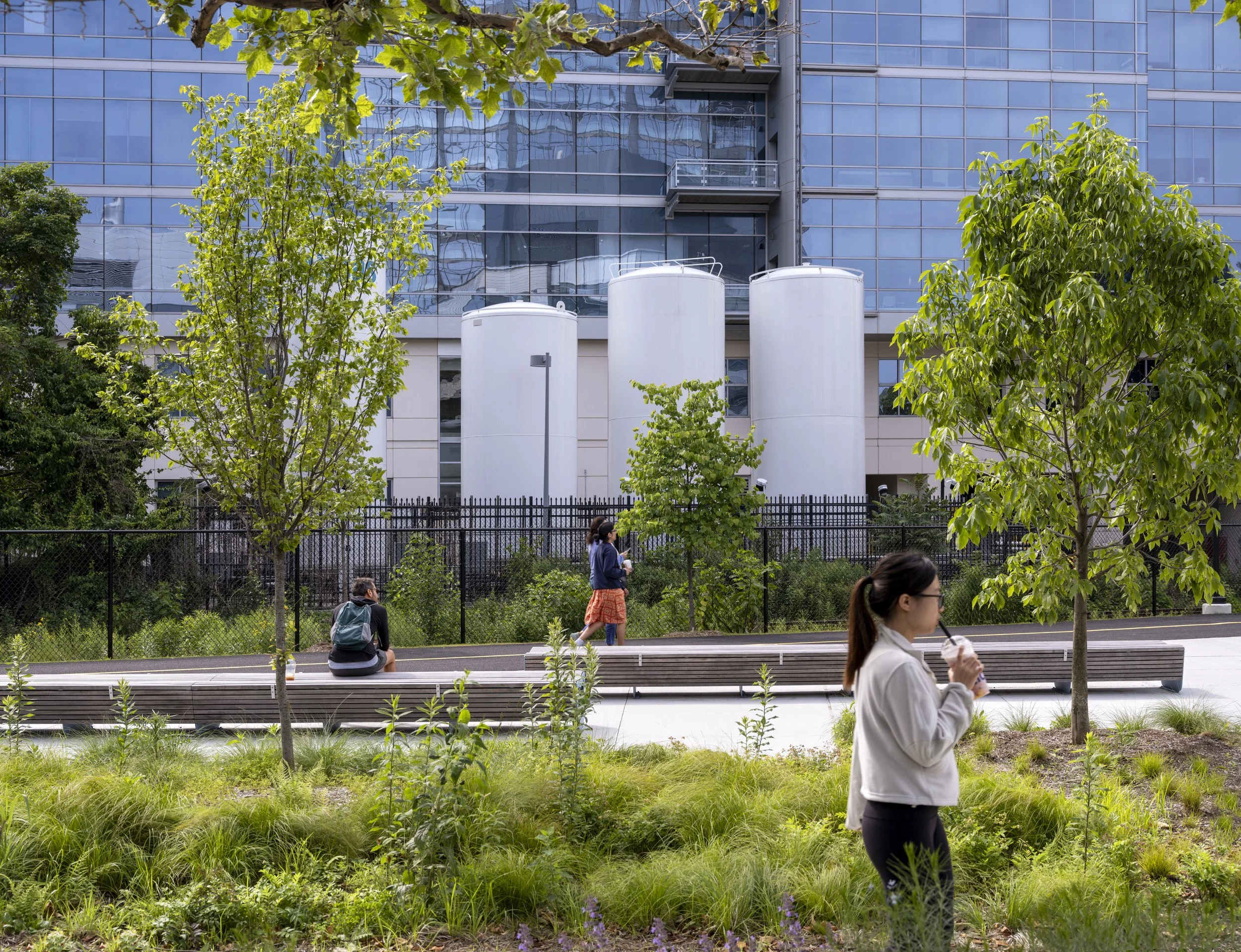 binney03_stoss_sahar_2026 resized.jpg