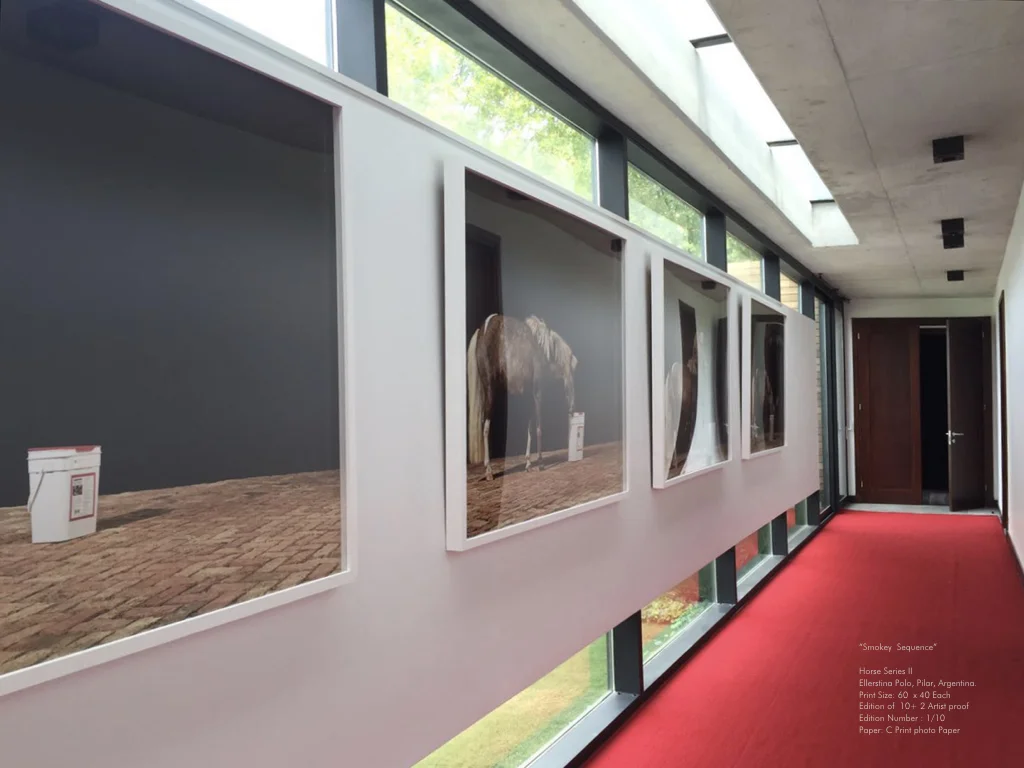 Mitch Selection.001.jpeg