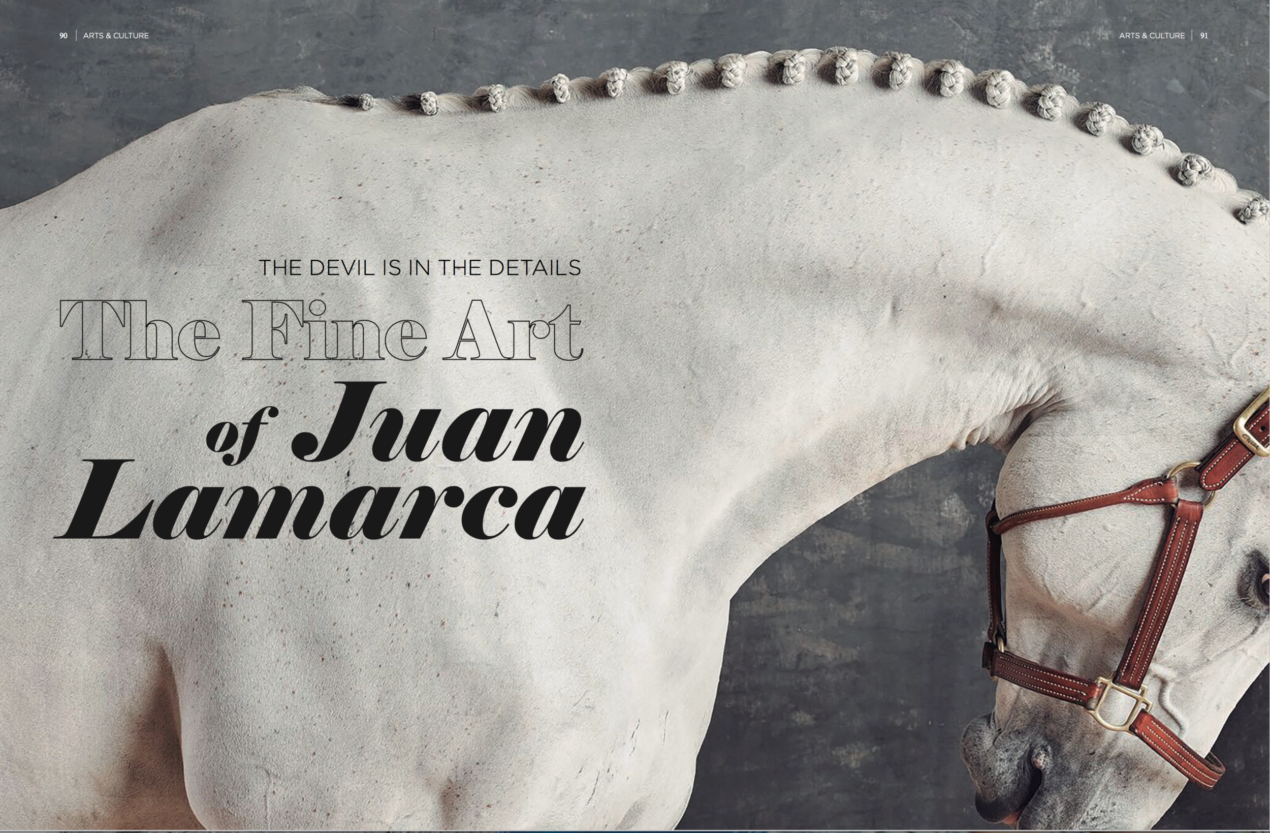 PUBLICATIONS /PUISSAANCE MAGAZINE