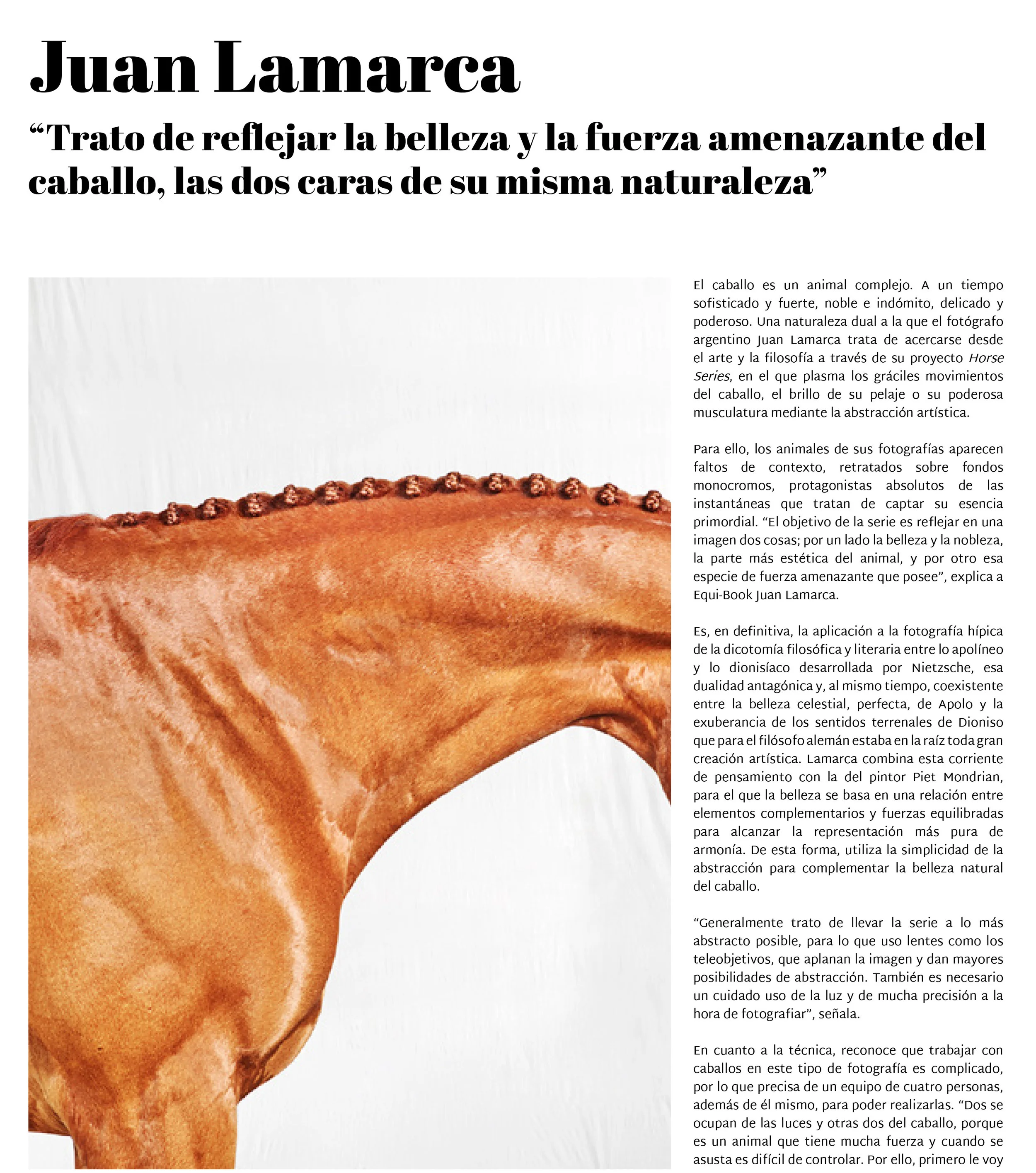PUBLICATIONS / EQUI BOOK / EQUESTRIAN MAGAZINE