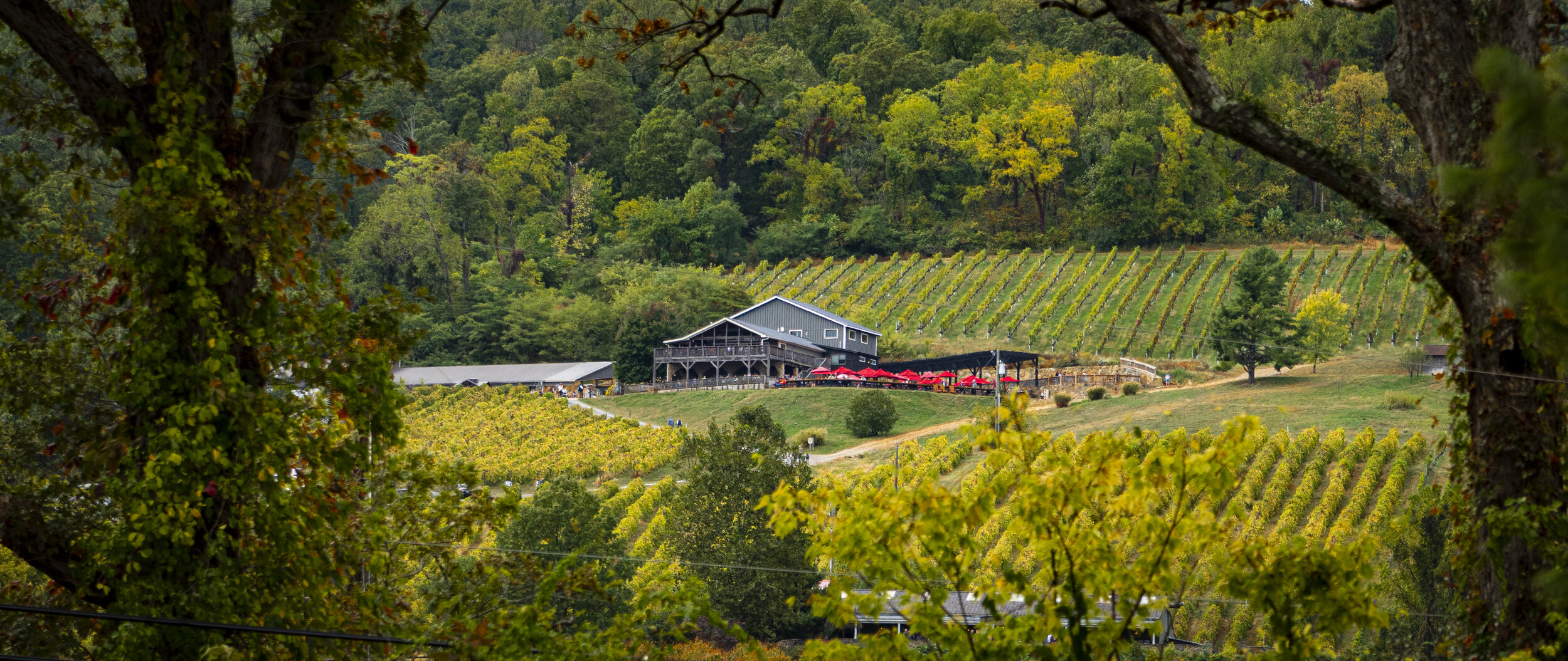 GCF 2019-10-13 - 14.jpg