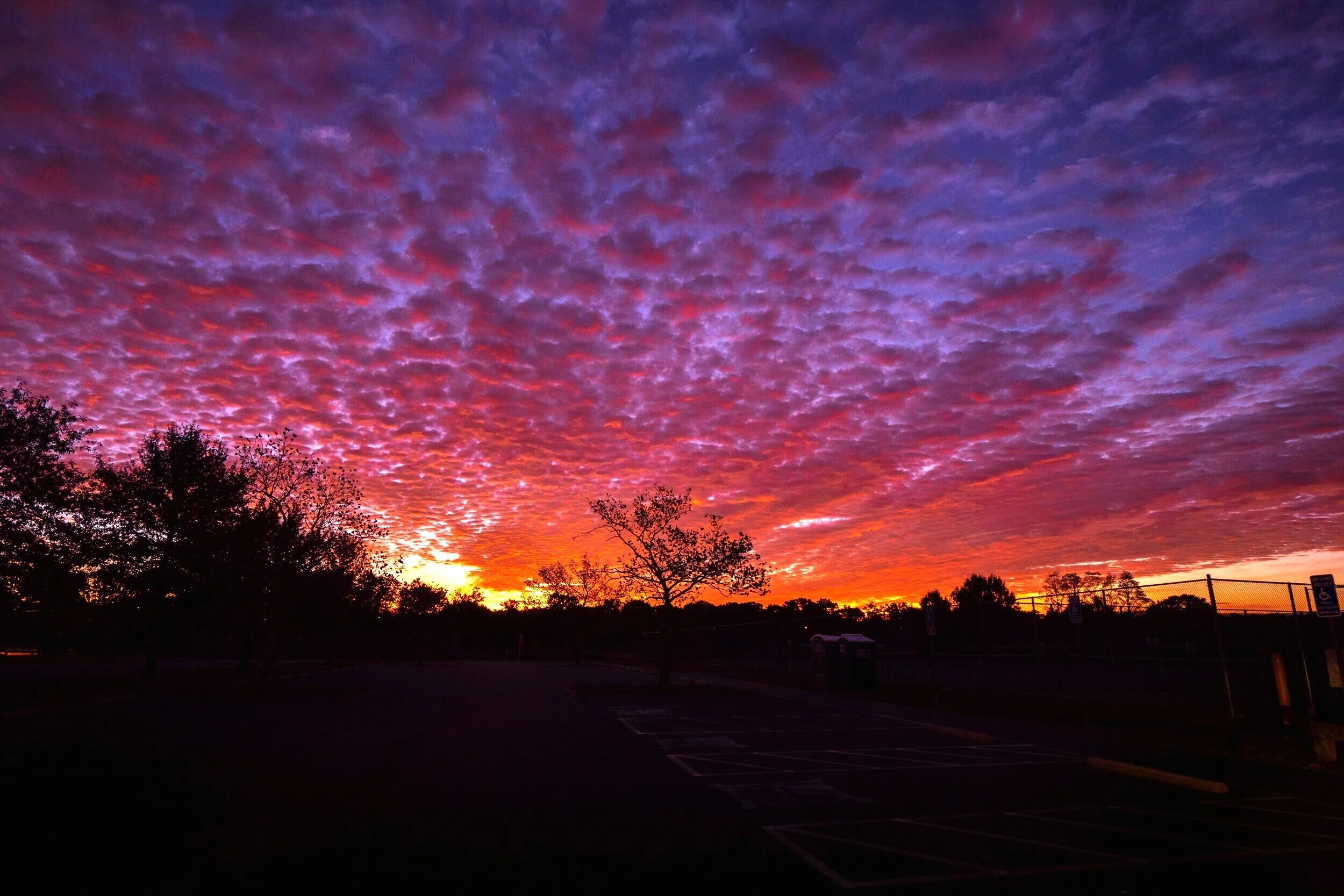 home 2019-10 - 12.jpg